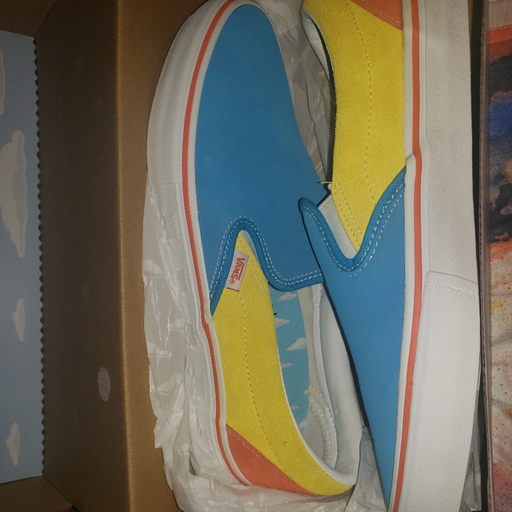 Limited edition Simpson Van's